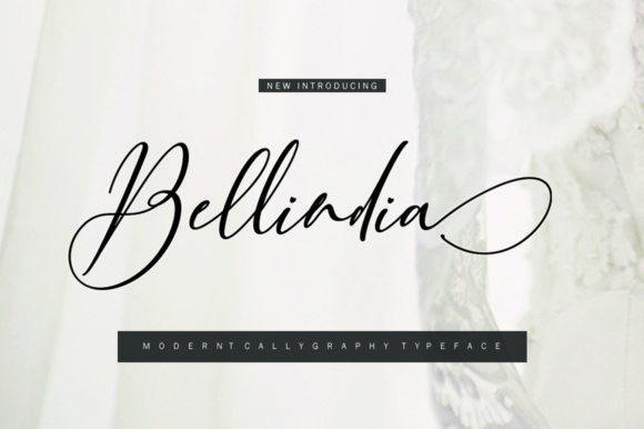 Bellindia Script: A Marketer’s Go-To Font for Campaigns