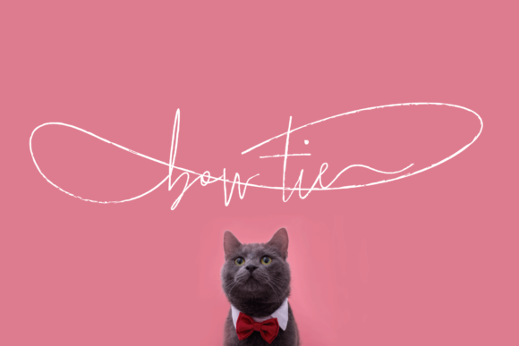 Bow Tie Font: A Web Designer’s Honest Typeface Review