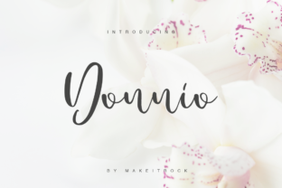 Donnio Review: A Designer’s Take on This Versatile Script
