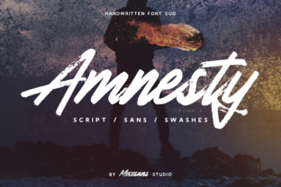 Testing Amnesty for a Modern Brand Layout