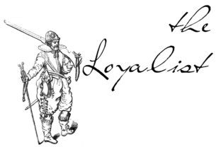 The Loyalist: A Designer's Honest Review for Real Projects